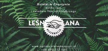 Działka z widokiem na las, obok vilpark