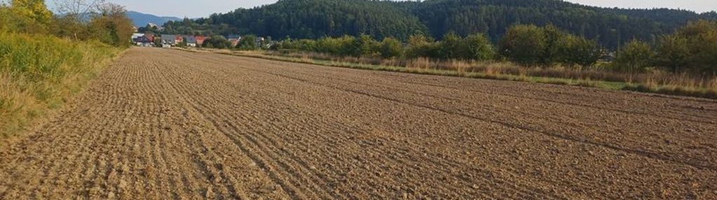 Działka usługowa stary sącz 80ar