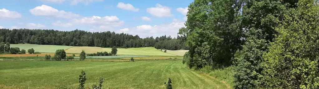 Działka na sprzedaż 8300m2