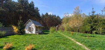 Działka budowlana ze ścianą lasu