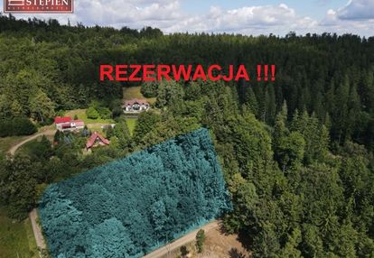 Działki z widokiem na pankoramę karkonoszy.