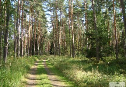 Las o łącznej powierzchni 3,37ha  w gm potok górny