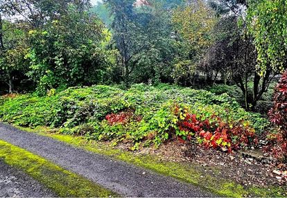 Działka budowlana - centrum dąbrowy górniczej