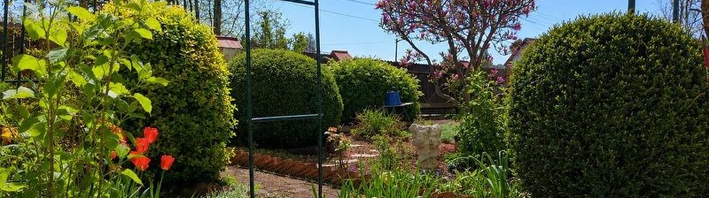Wyjątkowy dom z klimatycznym ogrodem w ćwiklicach