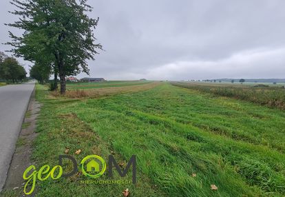 Działka pod zabudowę zagrodową razem z polem...