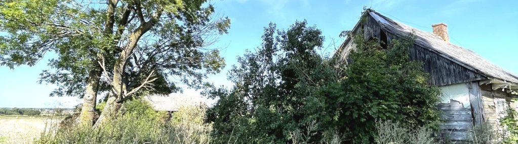 Siedlisko działka 30 arów dryszczów