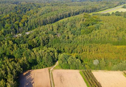 Działka (1,5310 ha)