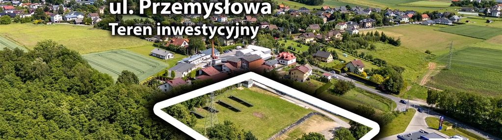 Ponad 76 arów | zabudowa produkcyjno - usługowa |