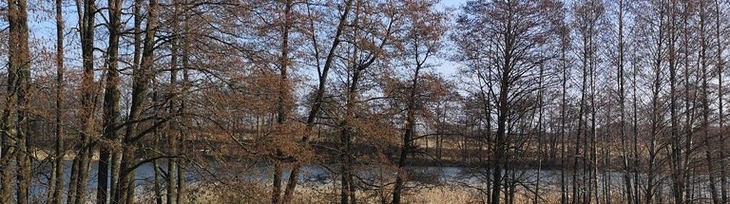 Budowlana, mpzp, bezpośredni dostęp do jeziora