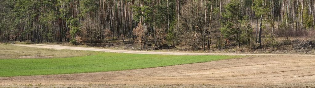 Działka w pięknej i spokojnej  okolicy