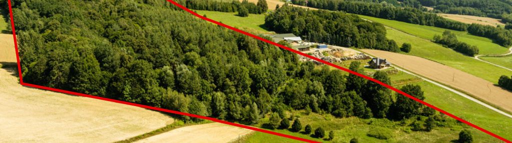 Działki o łącznej powirzchni 4,25 ha joniny
