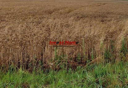 ✅piękna i spokojna działka żory kleszczów 875m2✅