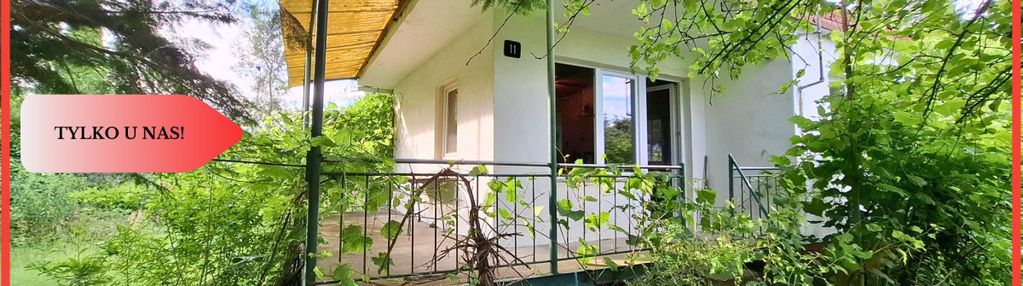 Tylko u nas! działka rod janowo – niedaleko brdy