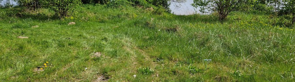 Działki z linią brzegową jeziora bez sąsiedztwa