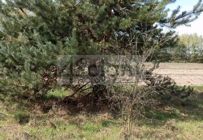 Działka z dostępem do rzeki w broku