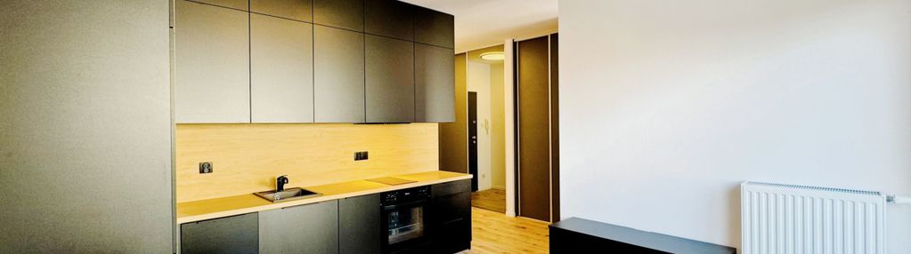 Nowoczesne mieszkanie na wynajem os. chojny park