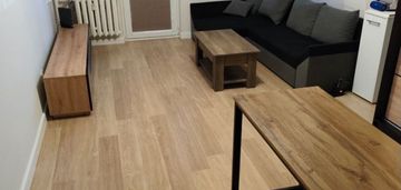 Po generalnym remoncie| lokalizacja | piwnica