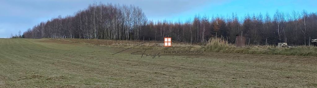 Sprzedam grunt rolny – hucisko nienadowskie,