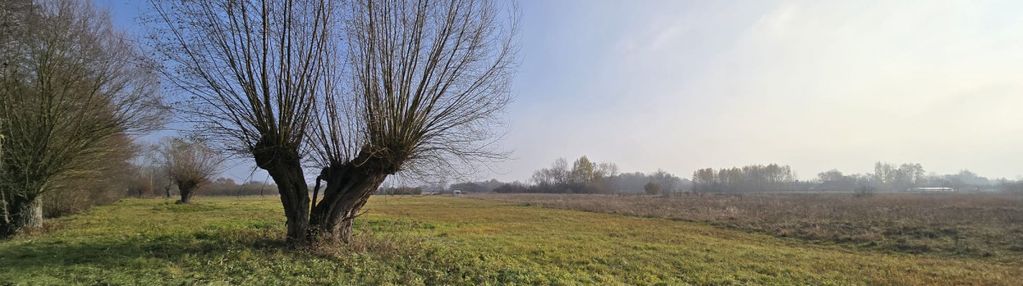 Działka pod siedlisko 8000 m2, wilczkowice dolne