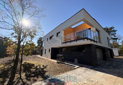 Radość - jeden z dwóch bliźniaków - duża działka