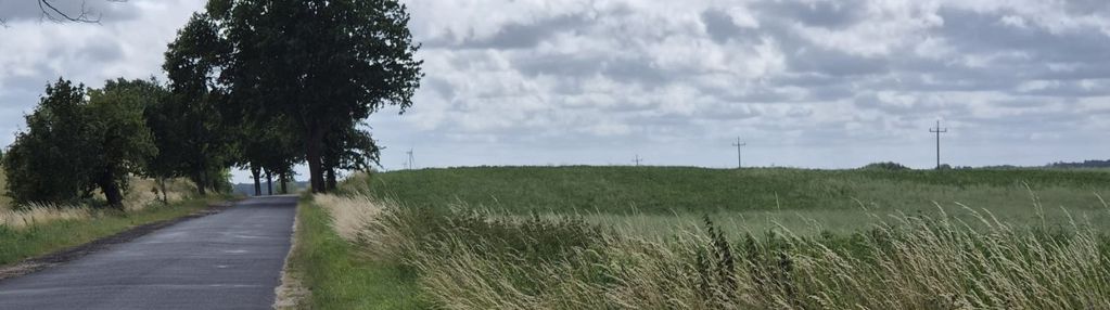Działka na dom marzeń-twoje miejsce w naturze
