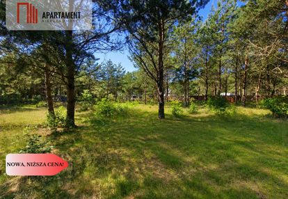 Działka 1139 m² | kameralny zagajnik!!