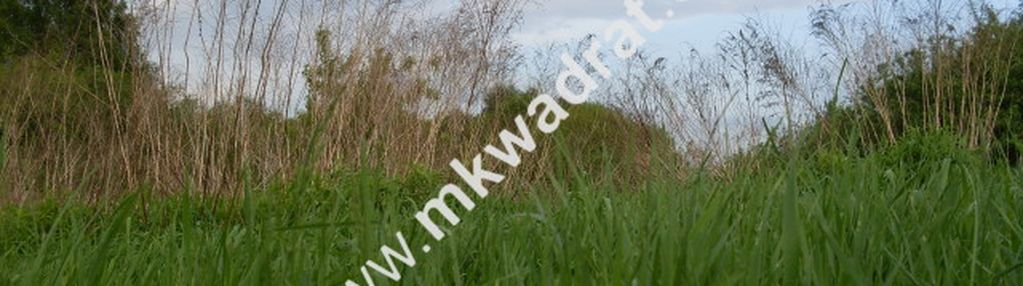 Działka budowlana leoncin