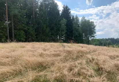 Działka na sprzedaż 271m2