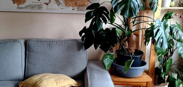 2 pokoje gdańsk wrzeszcz - obok garnizonu