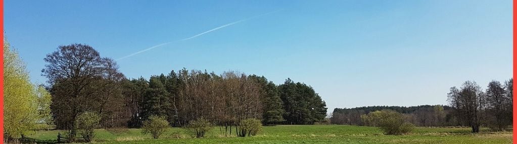 Idealna działka dla ceniących spokój