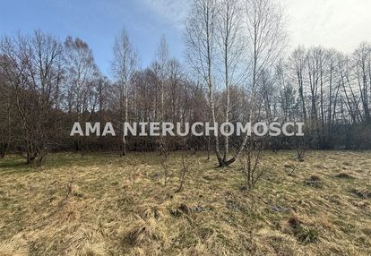 Działka o wielu mozliwościach w otulinie lasów