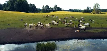 Gospodarstwo rolne 170ha, Stadnina koni, Mazury