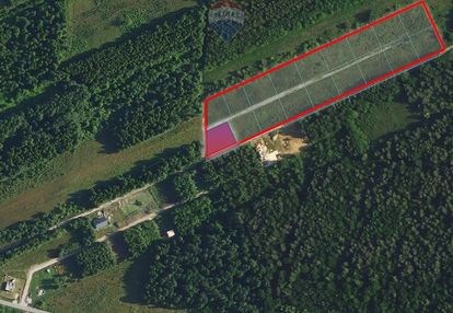 Działka budowlana 977 m², las i cisza – zakrzów