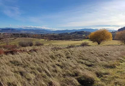 Działka na sprzedaż 1658m2