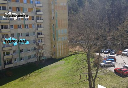 | kawalerka do wynajęcia | morze | las |
