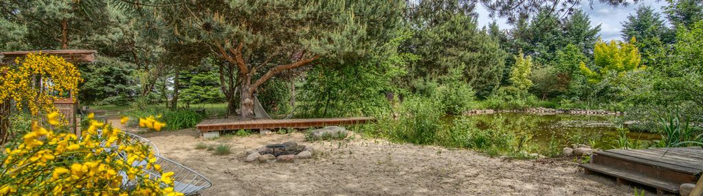 Nieruchomość inwestycyjna z wz–dom, hala,2 działki