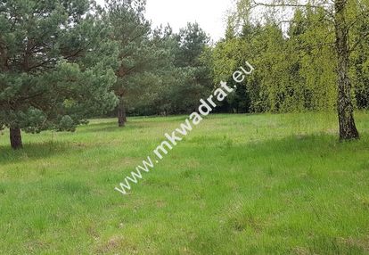 Działka 1197m2 w sąsiedztwie lasu ojrzanów