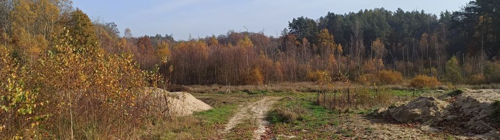 Leśniewo - tania działka 2369m2 z wz z 04.2024r.