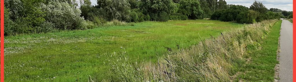 Działka w żninie blisko jeziora dużego