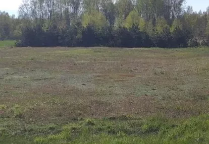 Działka na sprzedaż 1000m2