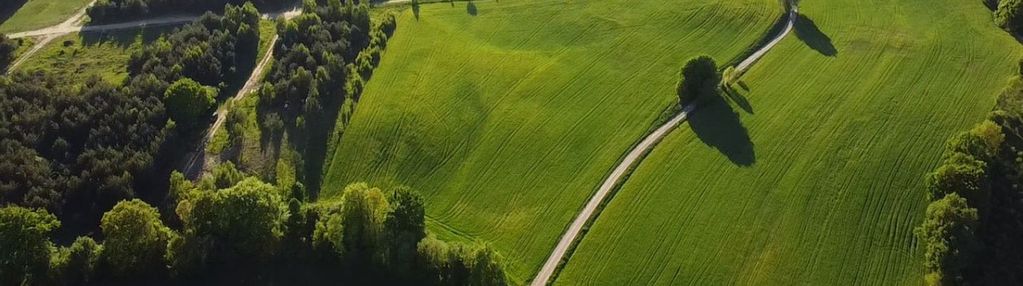 Las, cisza i 30 minut do trójmiasta | działka