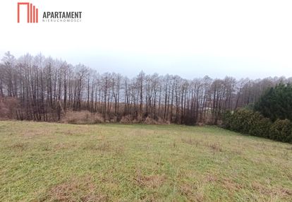 Działka rekreacyjna nad jeziorem