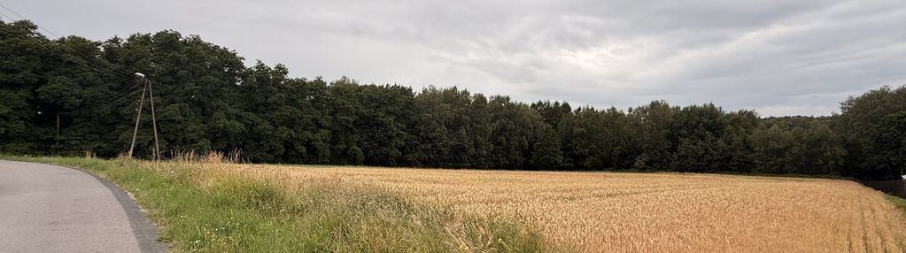 Duża działka z wz - wiele możliwości
