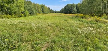3 działki rolne szczeka gm. rytwiany 2,19 ha