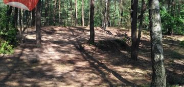 Działka w lesie 2064 m² - letniskowa i całoroczna