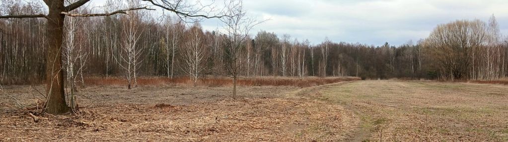 Projekt deweloperski przy lesie-9 działek