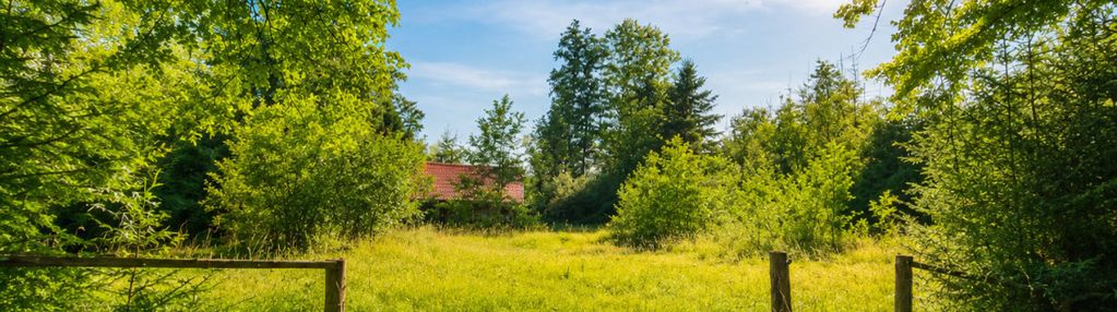 Inwestycja nad jeziorem – glamping, domki 1,66 ha