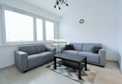 Na wynajem 2 pokoje toruń