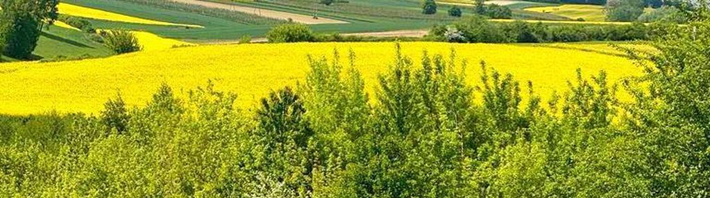 Dom marzeń o  pow 107 m2   - karwów gm. opatów