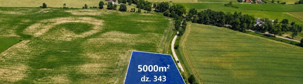 Działka 5000m2, 10 minut od morąga